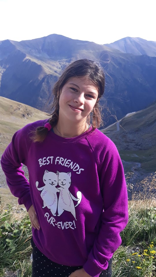 teama de necunoscut de ioana maria virlan