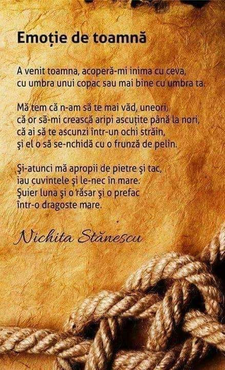 amurg de loreta toader.jpg