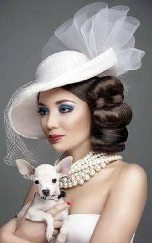 anti radar de angi melania cristea