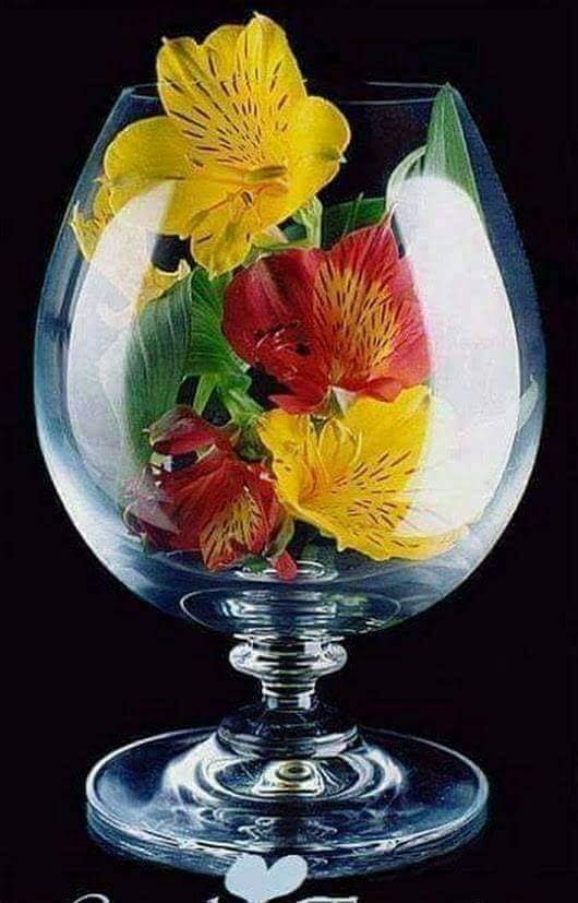 cLOVNUL CAPTIV DE NICOLAE NISTOR