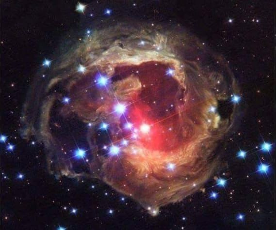 ne-am intalnit de loreta toader