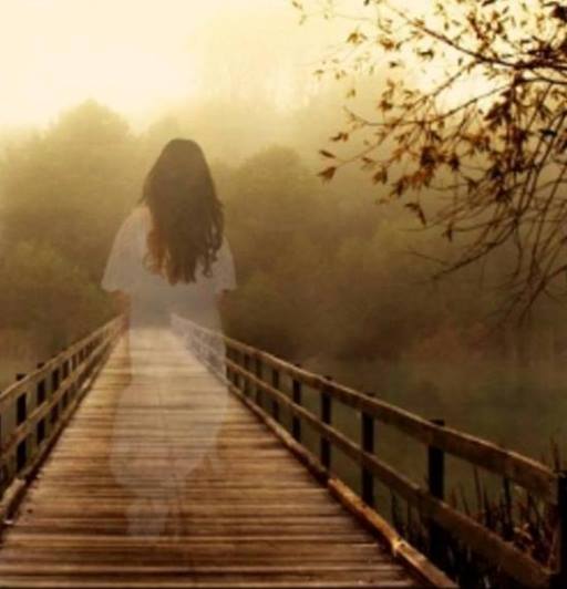 printre randuri de aurelia oanca