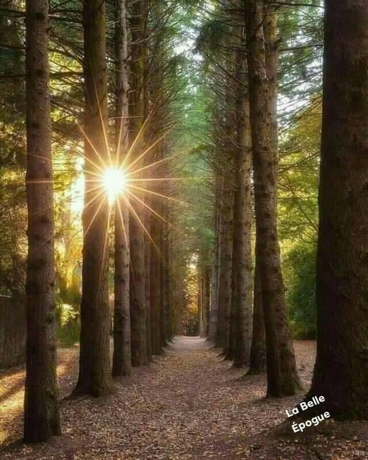 sperantele de a oanca