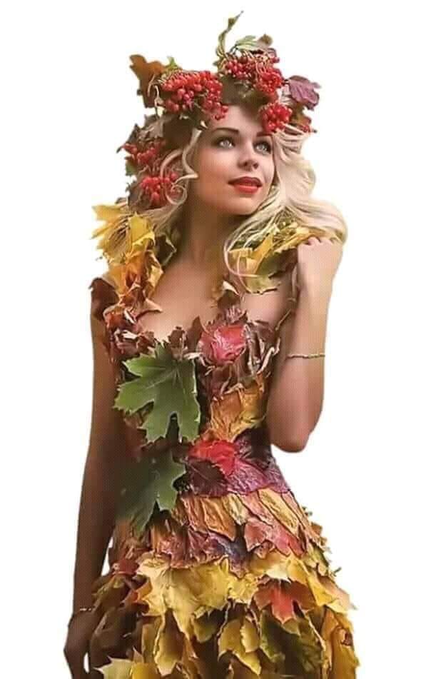 surasul toamnei de loreta toader