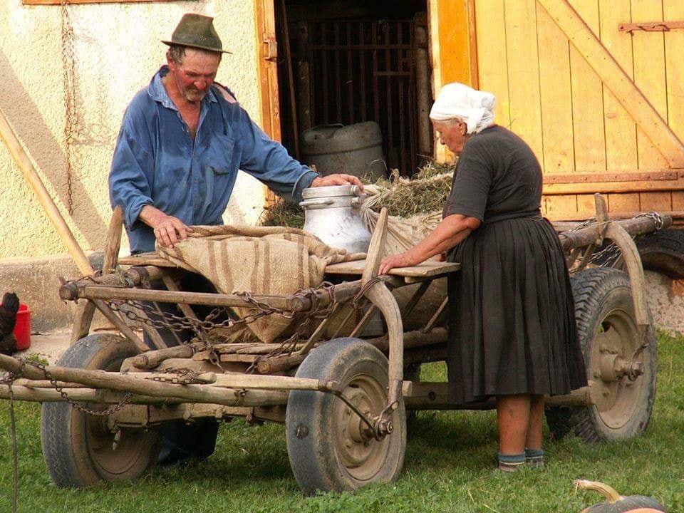 taranul de cristian chistruga