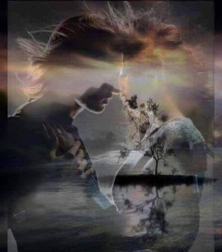 te caut de loreta toader