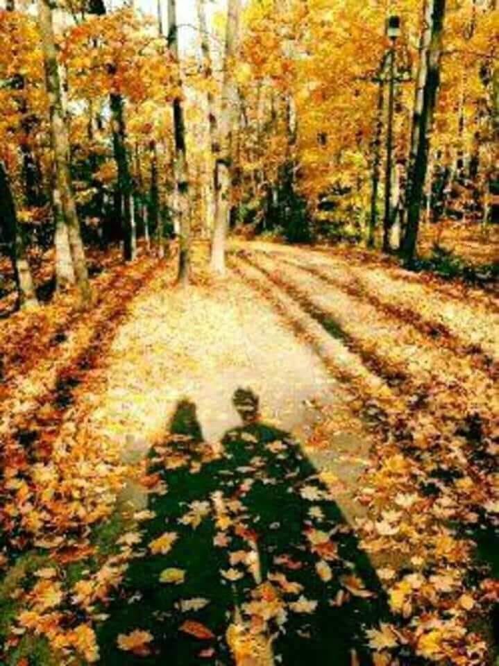 toamna doamna minunata de sandu chiva.jpg