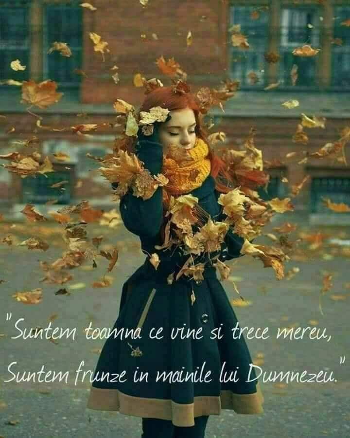 toamna vietii de petraru valentina
