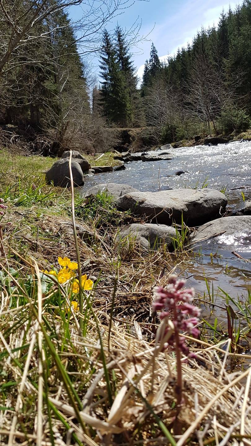 un alt anotimp de lucretia bogdan inta.jpg