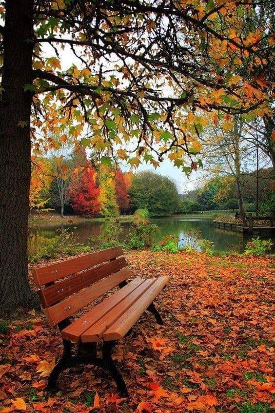 ale tineretii valuri de teodora dumitru.jpg