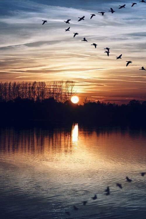 buna seara de teodora dumitru.jpg