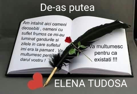 de-as putea de elena tudosa