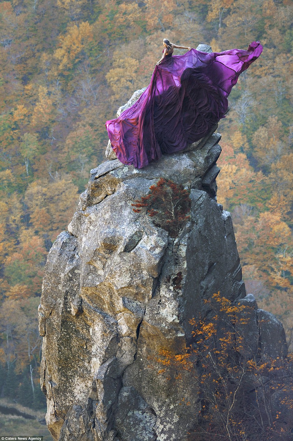 de dorul tau de mari lena stefan