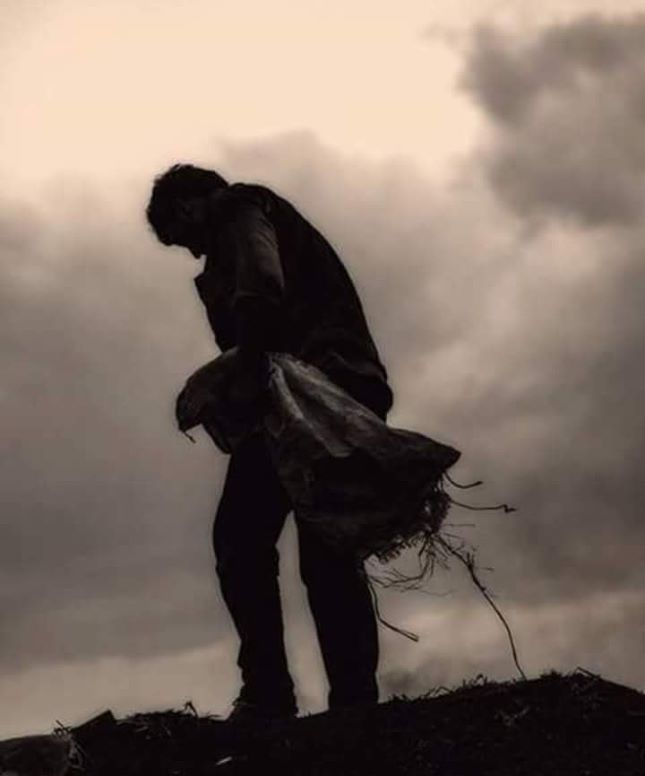 de ma cauti de elena tudosa