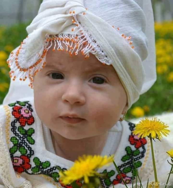 de ziua Romaniei de sandu chiva