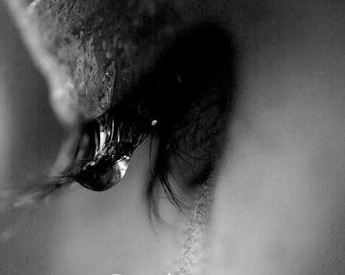 dor de tata de elena tudosa