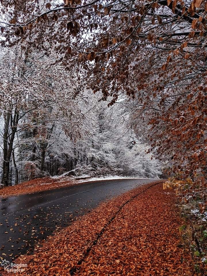 INTALNIRE RECE DE AURELIA OANCA.jpg