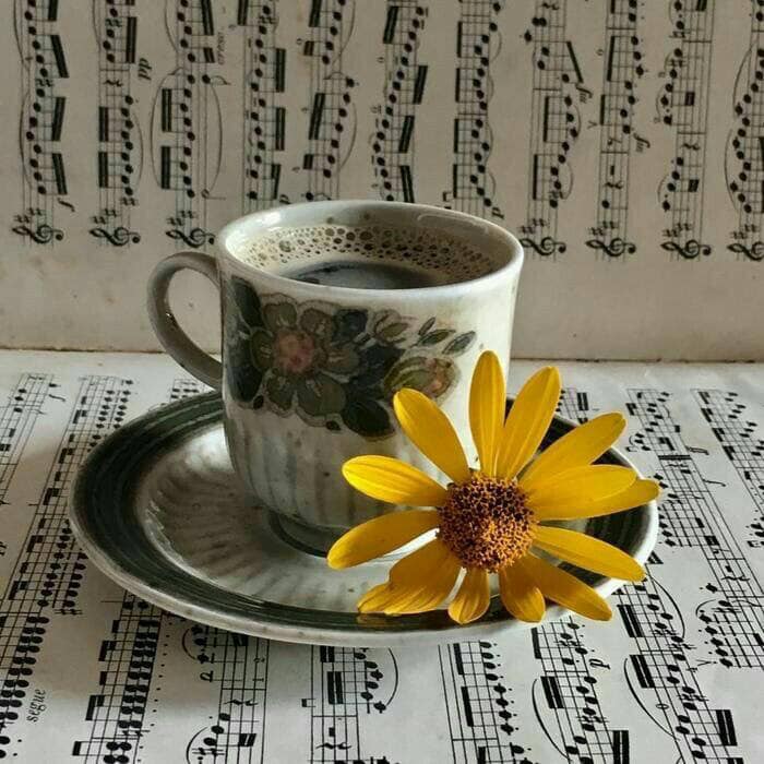 Iti scriu dar nu trimit de Mari Lena Stefan