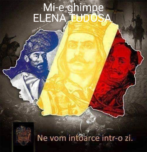 mi-e ghimpe de elena tudosa.jpg