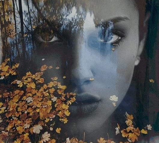 nostalgie de toamna de elena tudosa