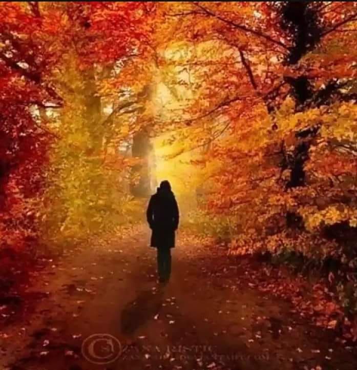 pica frunzele de toamna de teodora dumitru