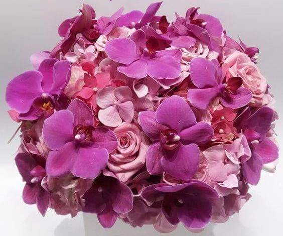 Rondelul lenesului de constantin bidulescu