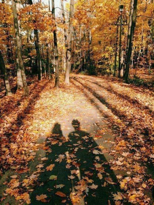 S-au dus anii  de teodora dumitru.jpg