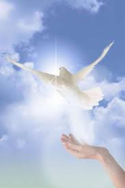 Sfantul Dimitrie Cel Nou de Cristian Chistruga