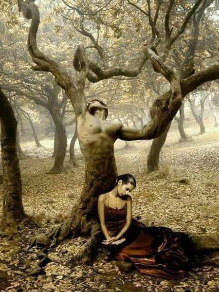 suflet hain de elena tudosa