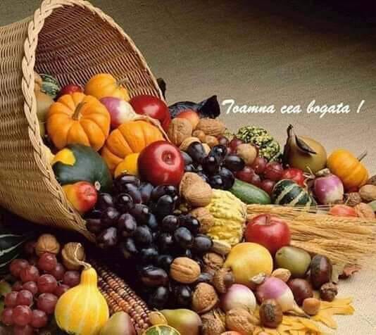 toamna cea bogata de teodora dumitru.jpg