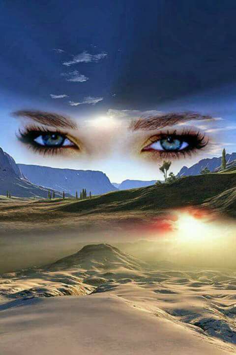 cu ploi de flori de aurelia oanca