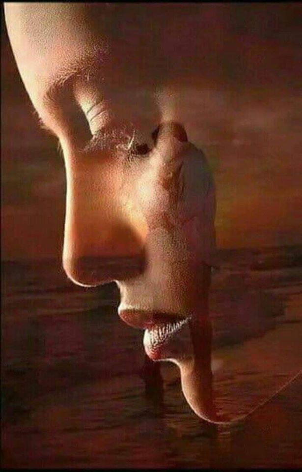 de ce nu-i spui de eugenia grobnic