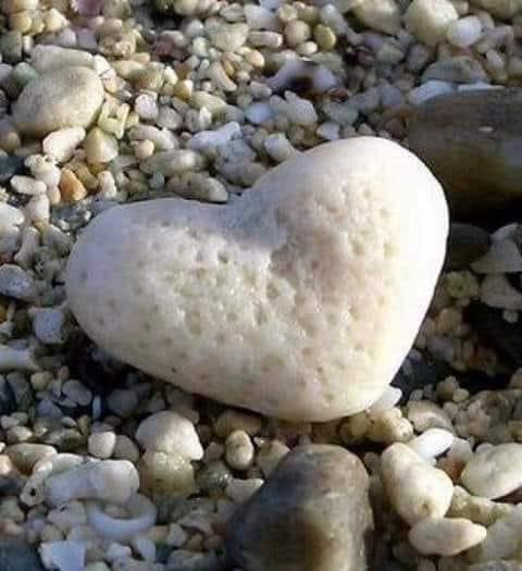 intrebarea inimii de aurelia oanca