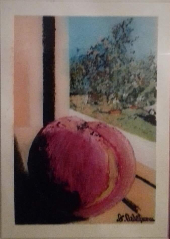 marul de la geam de valentina petraru