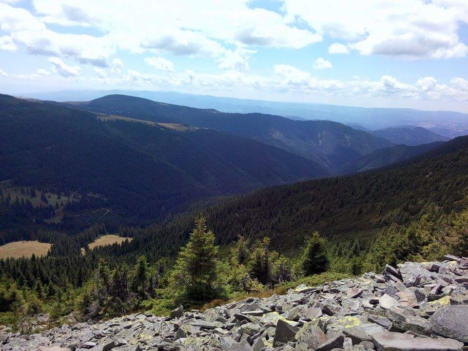 pe munti golasi de aurelia oanca.jpg