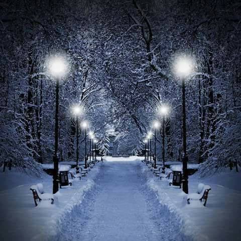 printre stelele trezite aurelia oanca