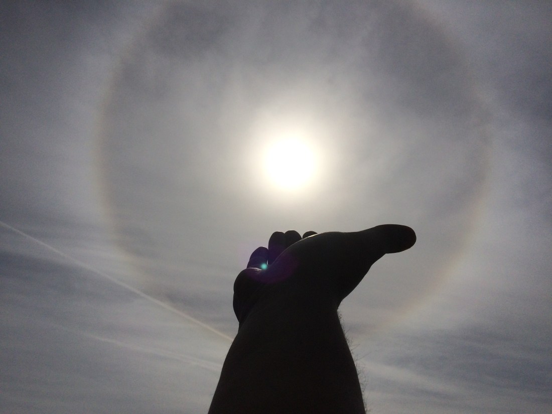 Sonetul cautarii de o viata de mihai mercicaru.jpg