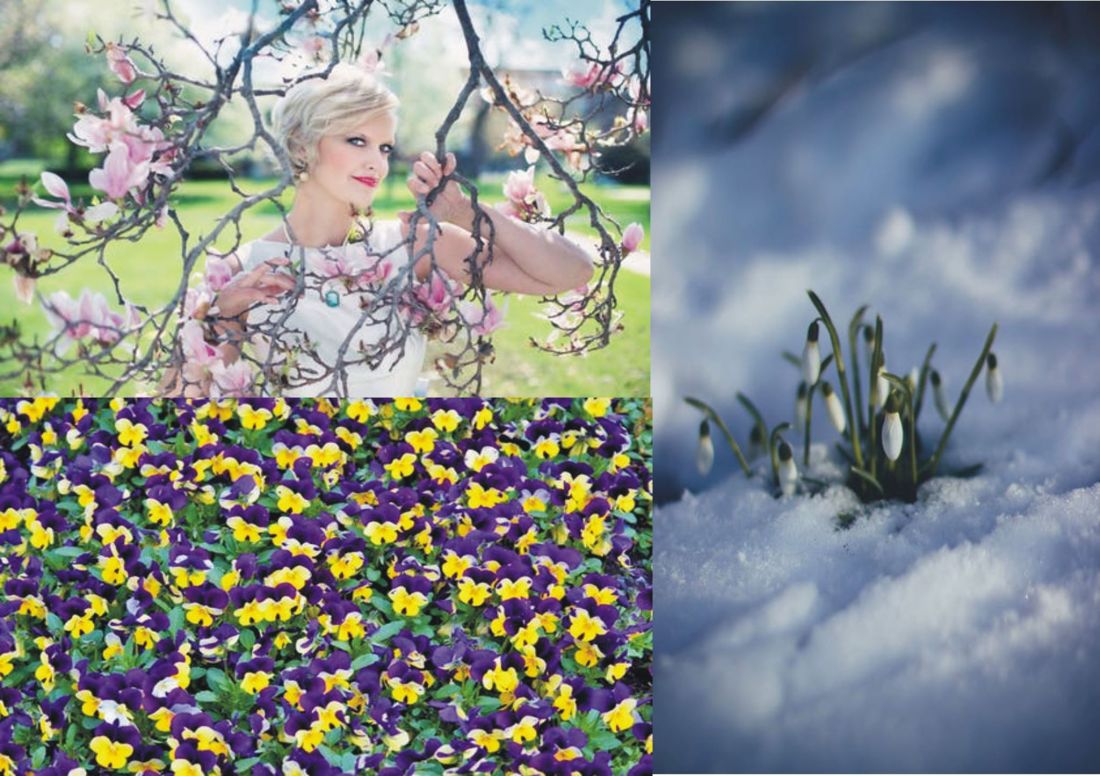 vis de iubire de stefan doroftei doimaneanu