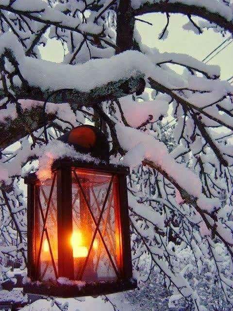 de la lampas  de lacrimioara Iva