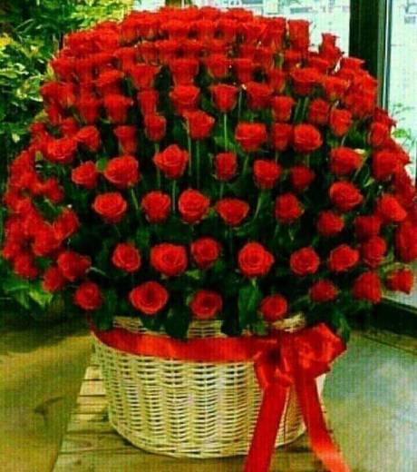 52596326_179157836384829_139888854357245952_n