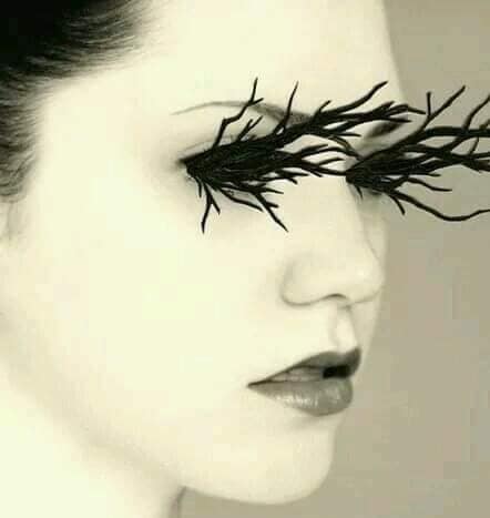 ceata de mugurel puscas