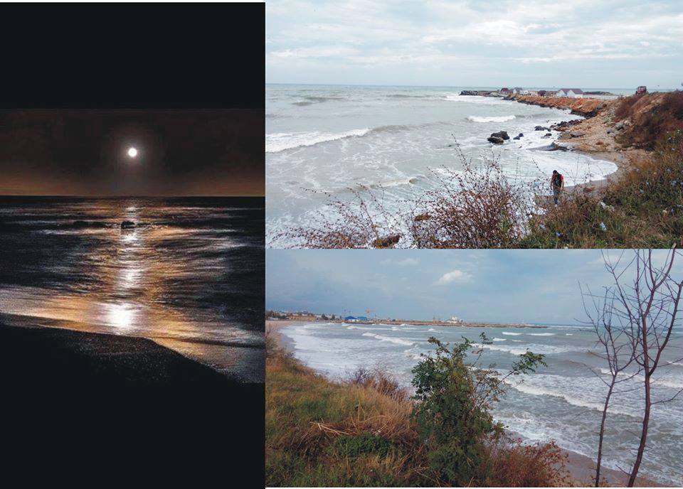 dansul verbelor de stefan doroftei doimaneanu