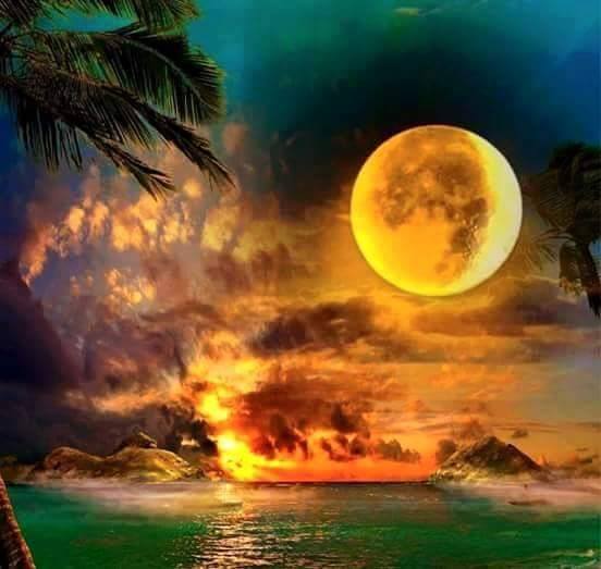 din linistea divina de aurelia oanca