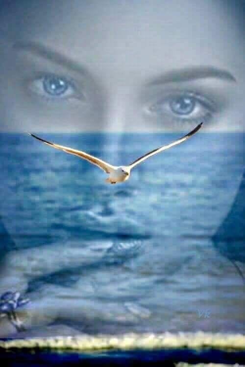 doar vise de tania tatar