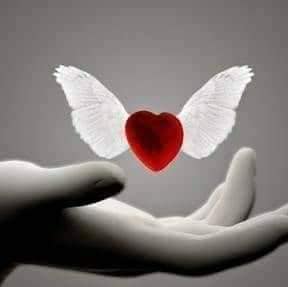 femeia cu aripi de fluture de mugurel puscas