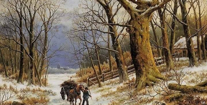 iarna codrul si eu de elena tudosa