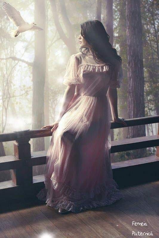 il mai astepti de sandu chiva