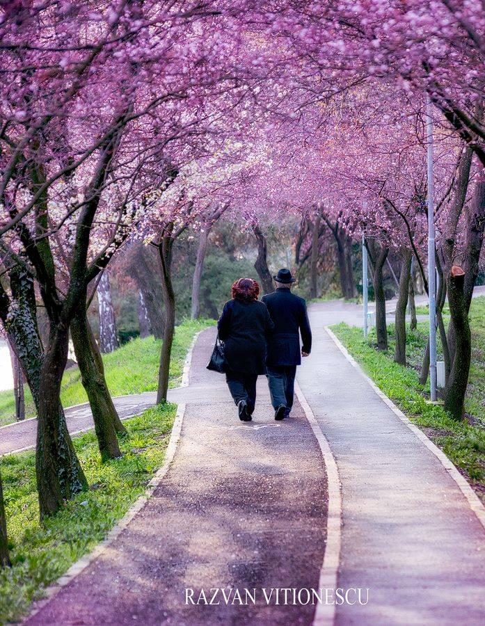 mai da-mi speranta de aurelia oanca