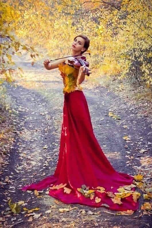 muzica sufletului de teodora dumiitru