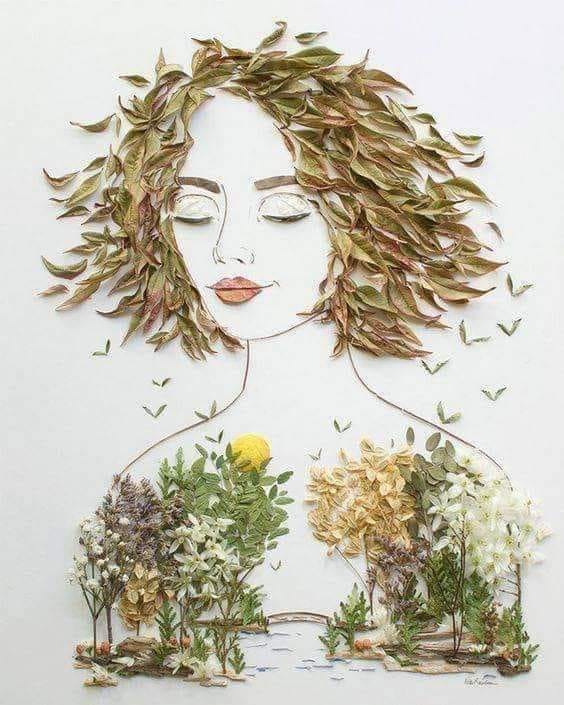 petale de timp de teodora dumitru